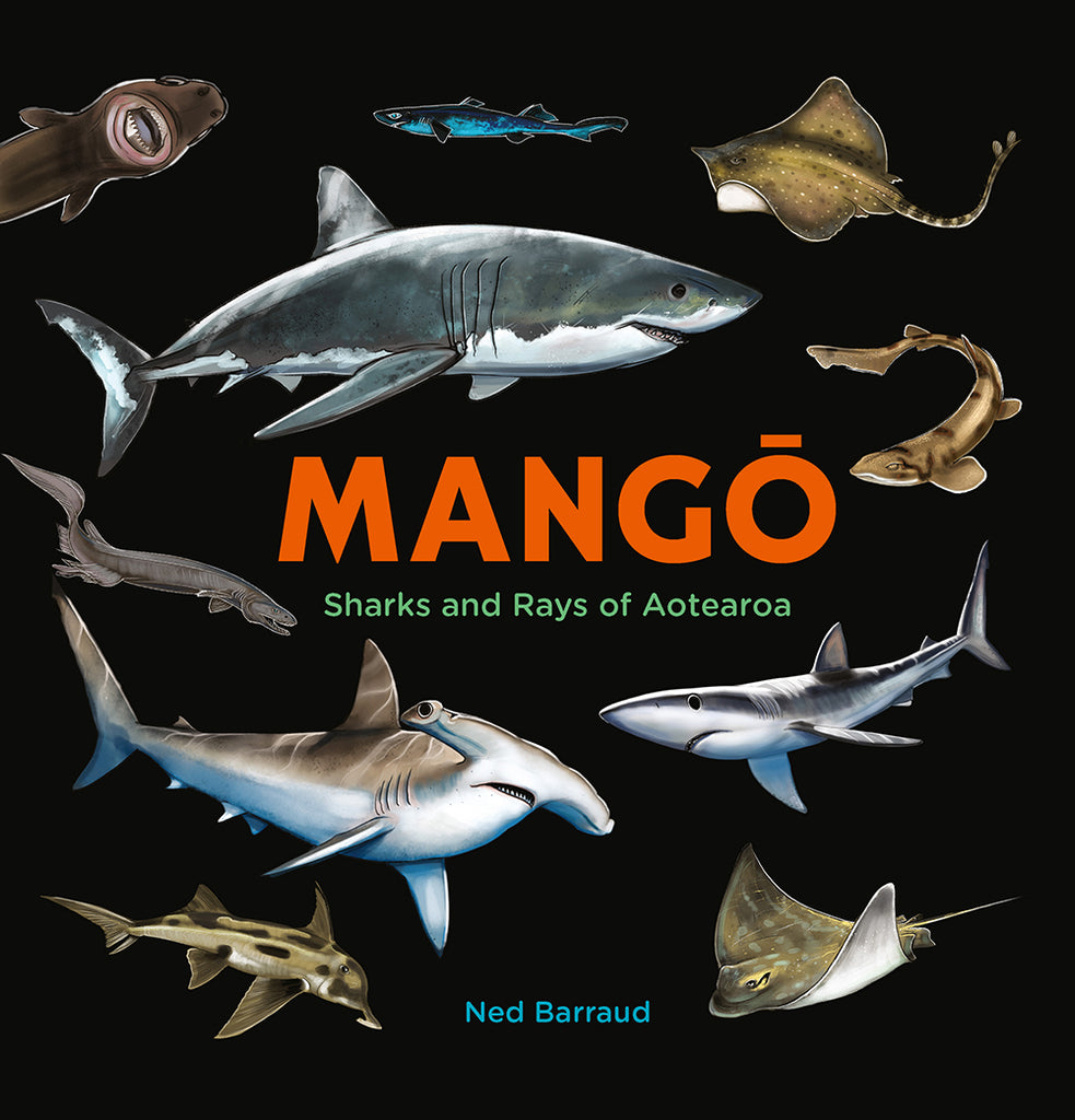 Front cover of the book featuring illustrations of various sharks and rays against a black background