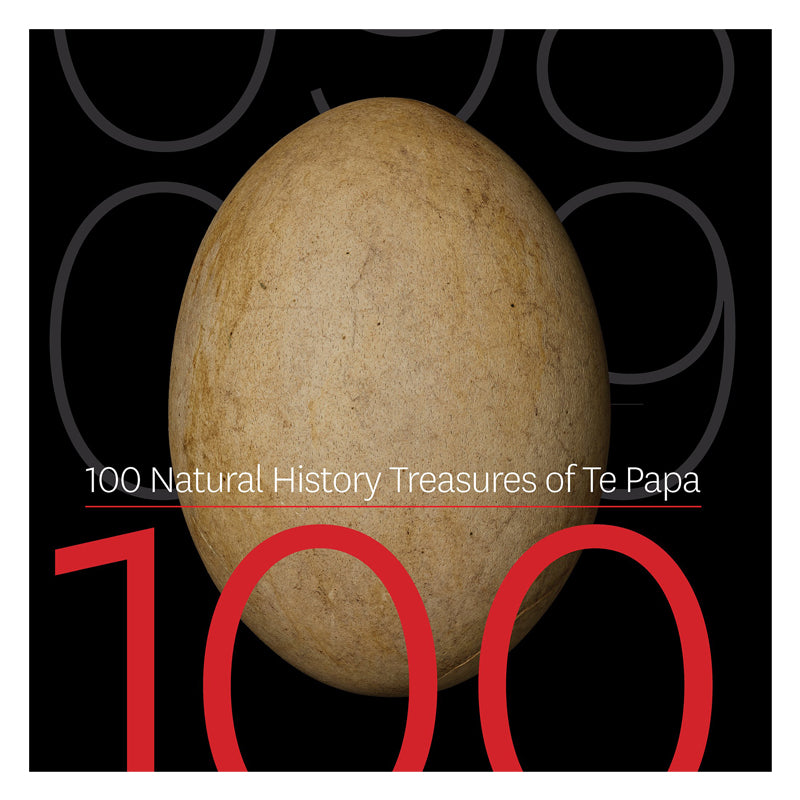Front cover of the book featuring a moa egg on a black background